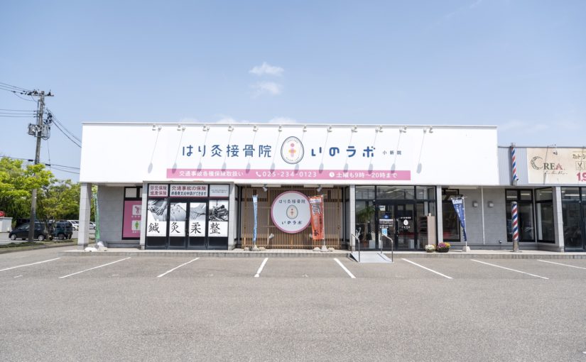 新潟市 接骨院 腰痛｜はりきゅう接骨院いのラボ 小新院