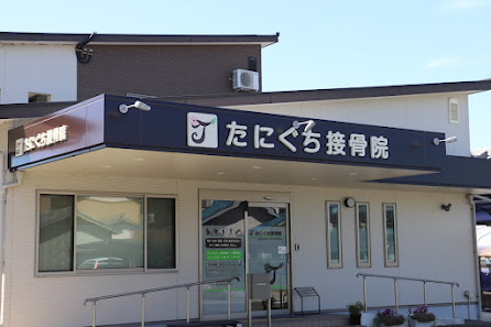 姫路市 むちうち｜たにぐち接骨院