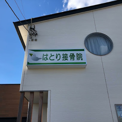 前橋市 骨盤矯正｜はとり接骨院