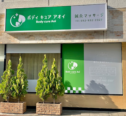東区 鍼灸｜Body cure Aoi
